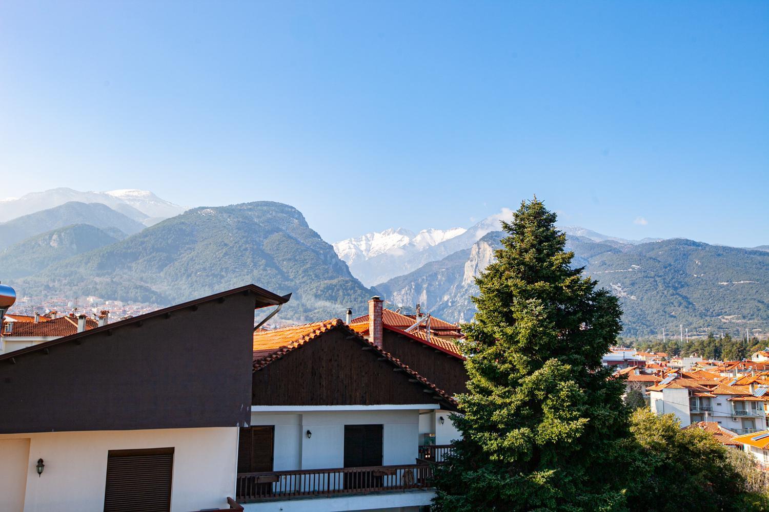 Rodon Apartment With Great View, Sauna And Jacuzzi Litochoro Exterior photo
